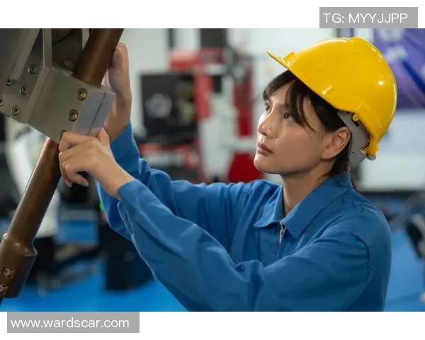 重庆排球队逆袭全国锦标赛的传奇故事与奋斗历程